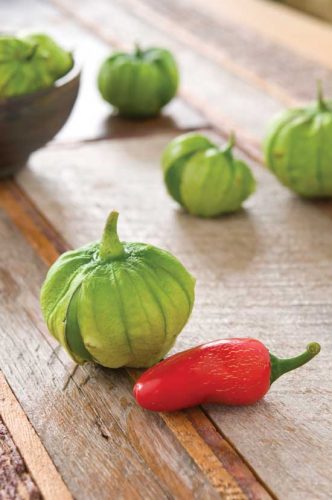 Drought-Tolerant Plants for Dry Climates